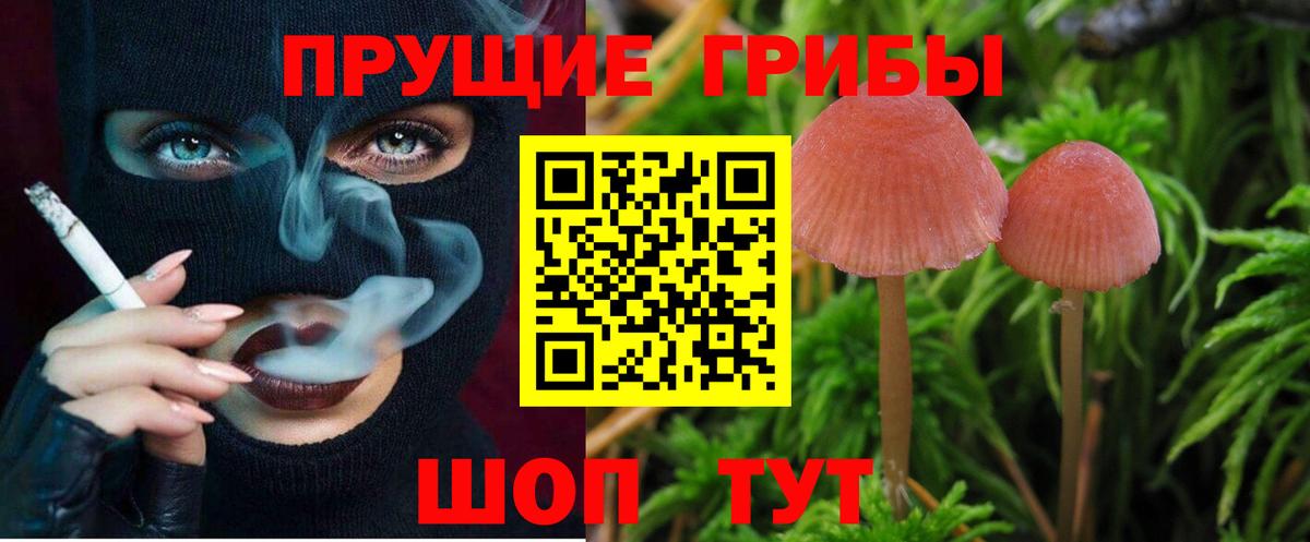 Галлюциногенные грибы Cubensis  Вход с VPN  Конаково 